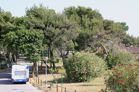 Camping Pino Mare von Lignano Aussicht foto