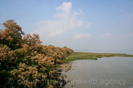 Die Lagune von Lignano Sabbiadoro Aussicht foto