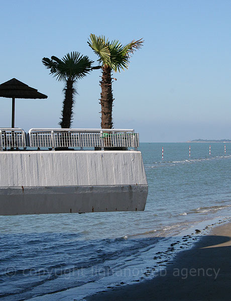 Die Palme auf der Meeresterrasse von Lignano Sabbiadoro foto