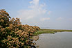 Die Lagune Von Lignano Sabbiadoro Aussicht