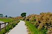 Lignano Sabbiadoro Auf Dem Fahrrad