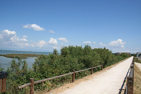 Cycling track at Lignano Sabbiadoro photo