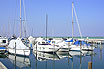 Boats Inside The Port Of Lignano