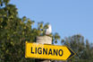 Lignano Direction Trafficator